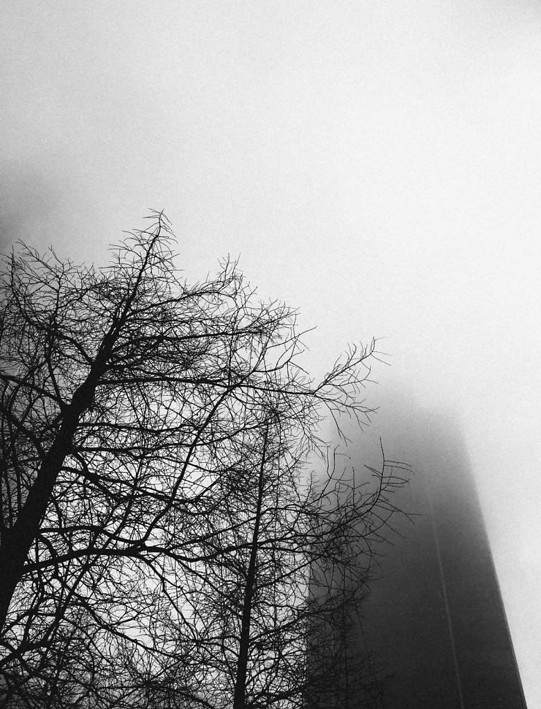London + Fog